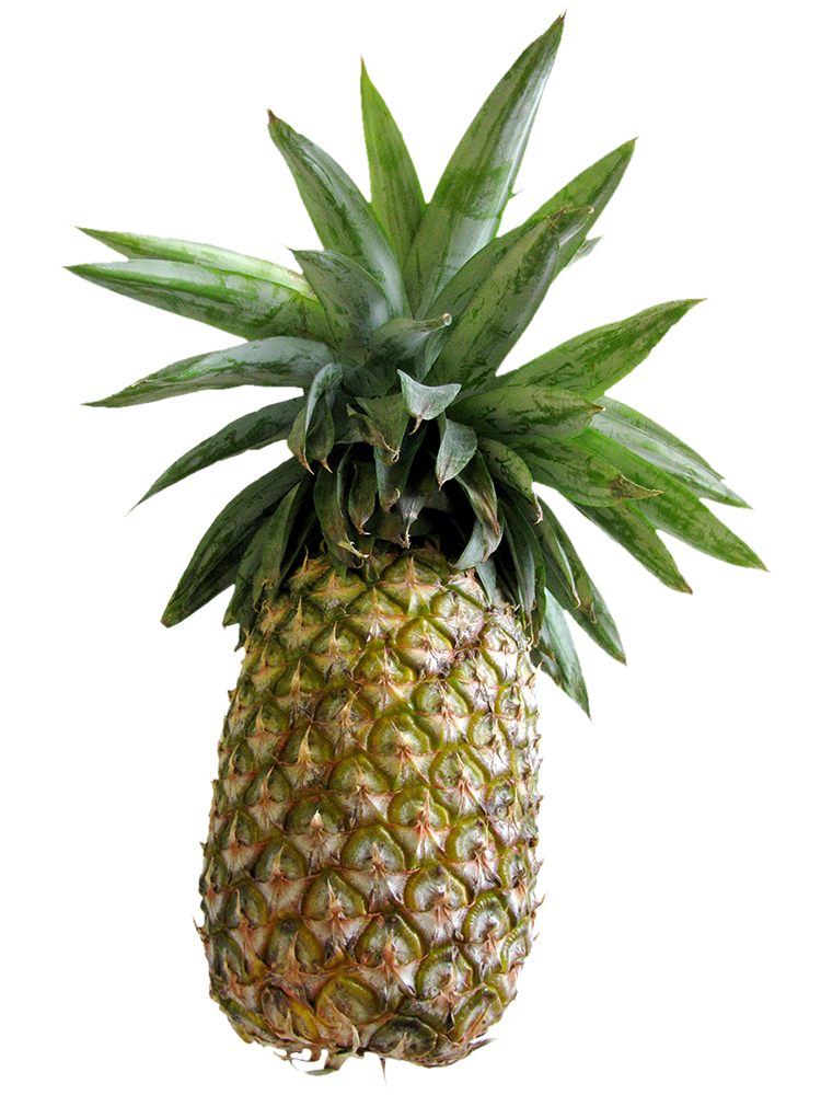 pineapple, pineapple png, pineapple png image, pineapple transparent png image, pineapple png full hd images download